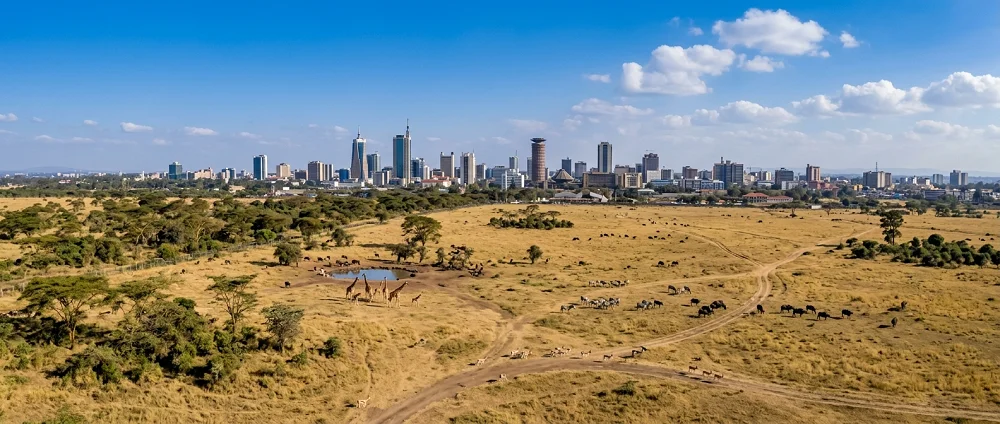 Nairobi national park