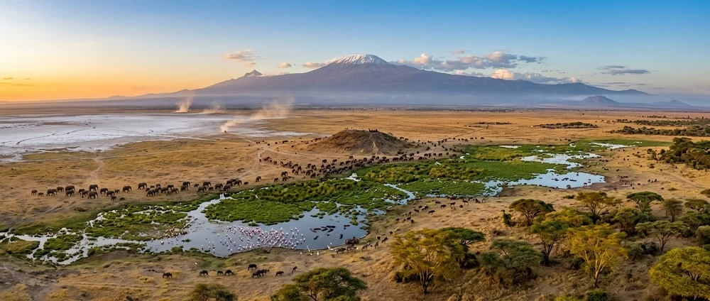 Amboseli National Park